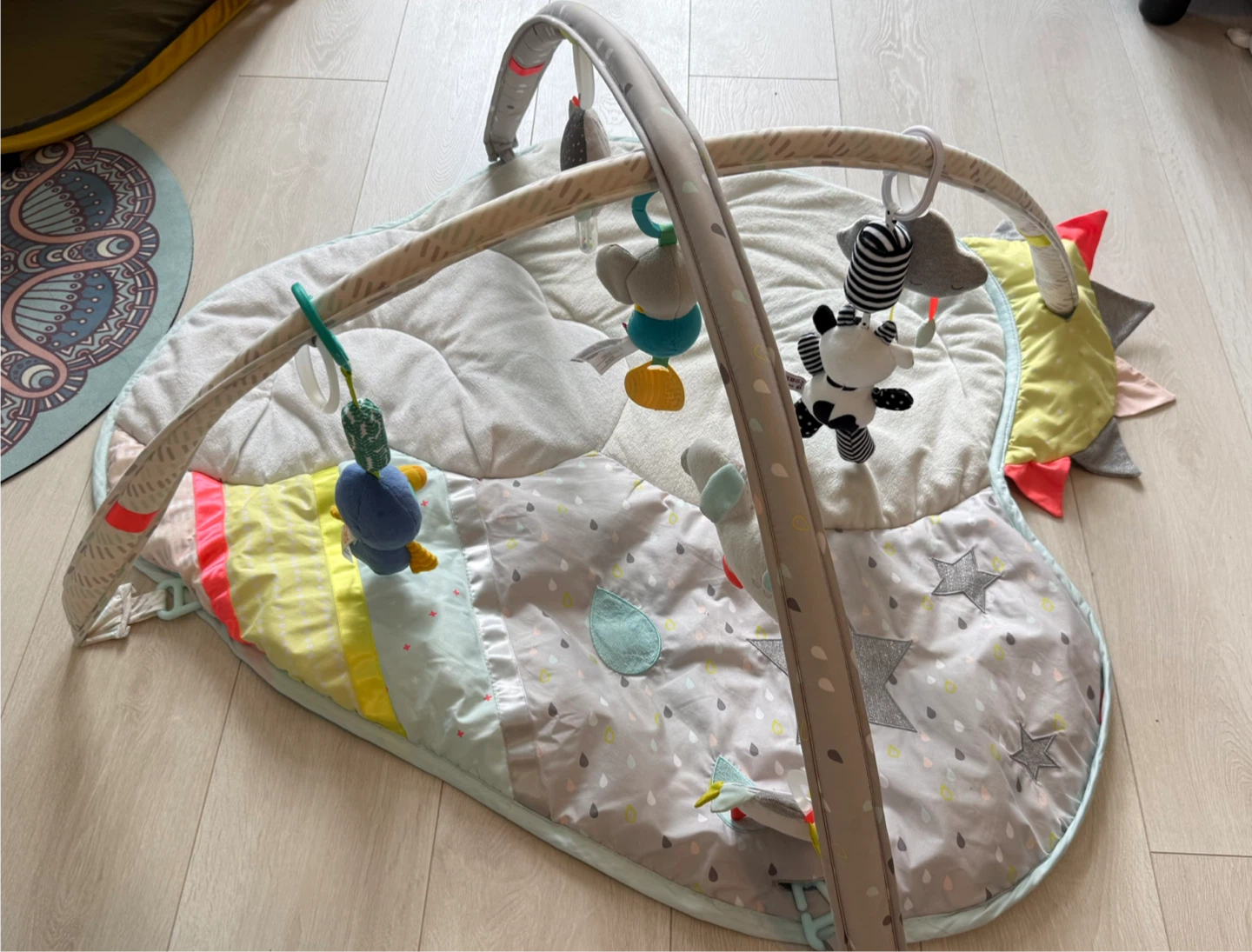 Skip Hop Activity Gym - photo 2