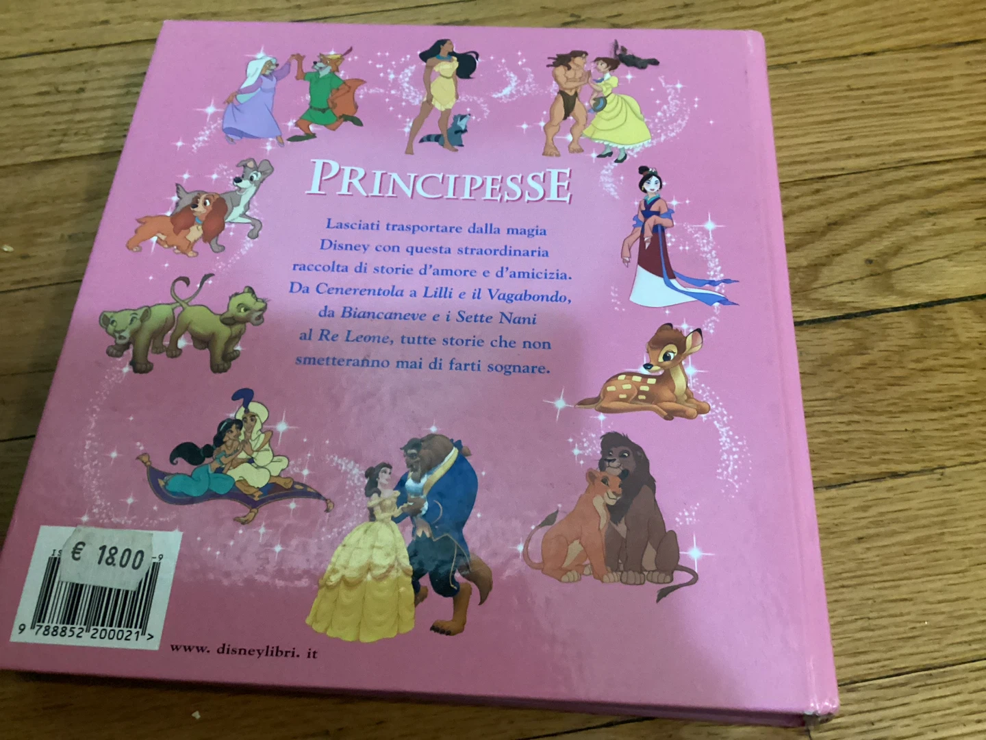 Disney Princess Storybook: Storie d'Amore e d'Amicizia - photo 2