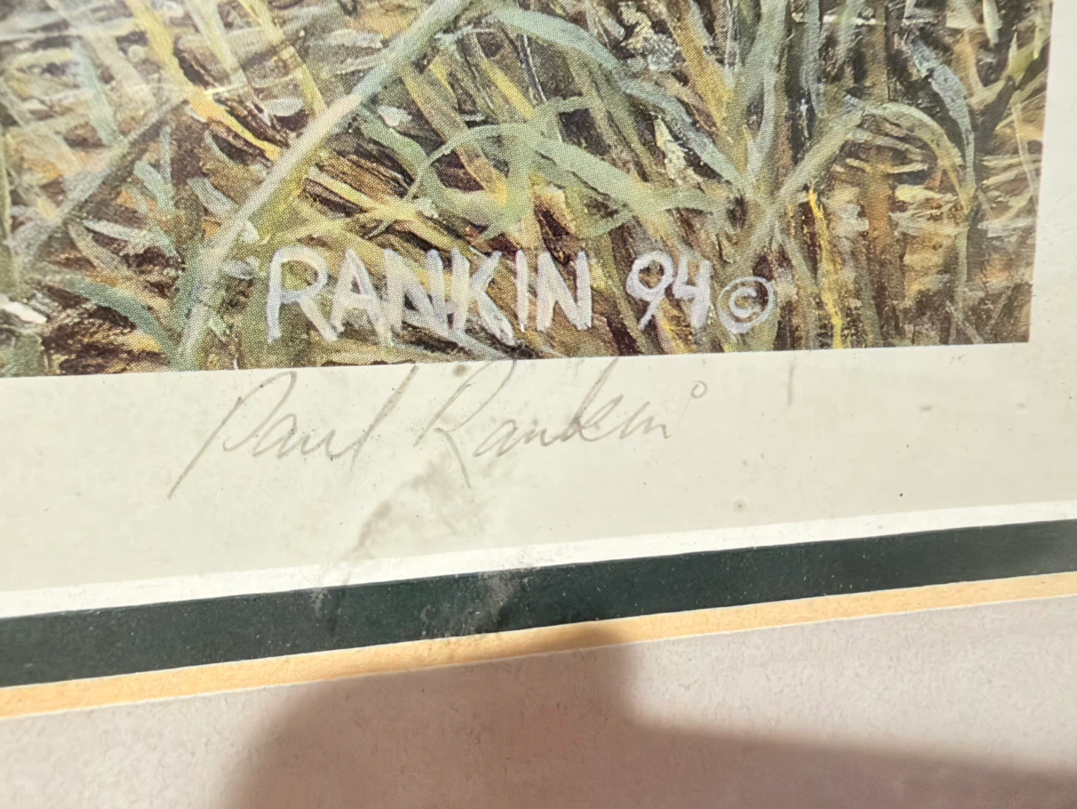 Paul Rankin Curious Pair Framed Print - photo 4