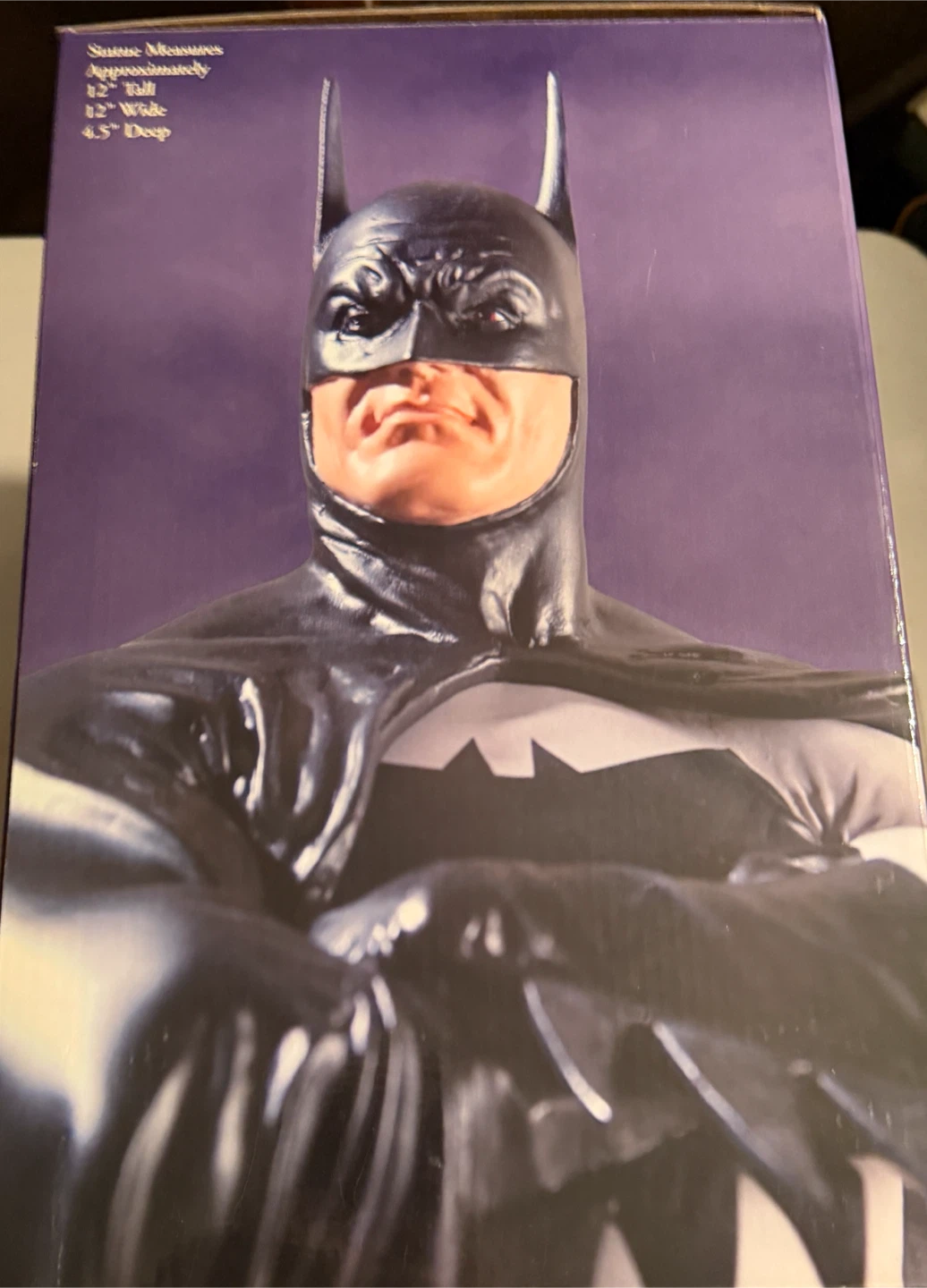 DC Direct Batman Dark Crusader Statue - photo 3