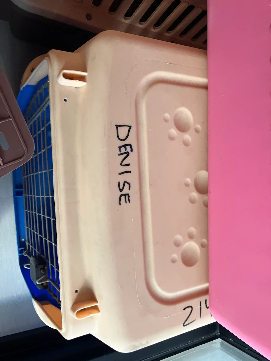 Airline Approved Travel Crate for Cats - photo 3