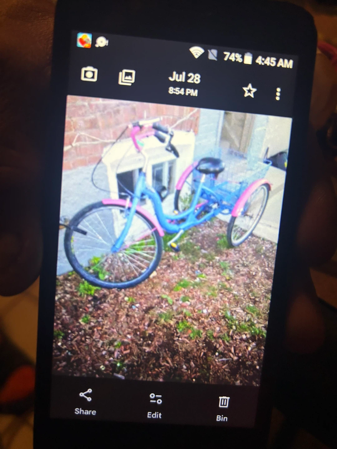 Blue and pink adult tricycle with rear basket