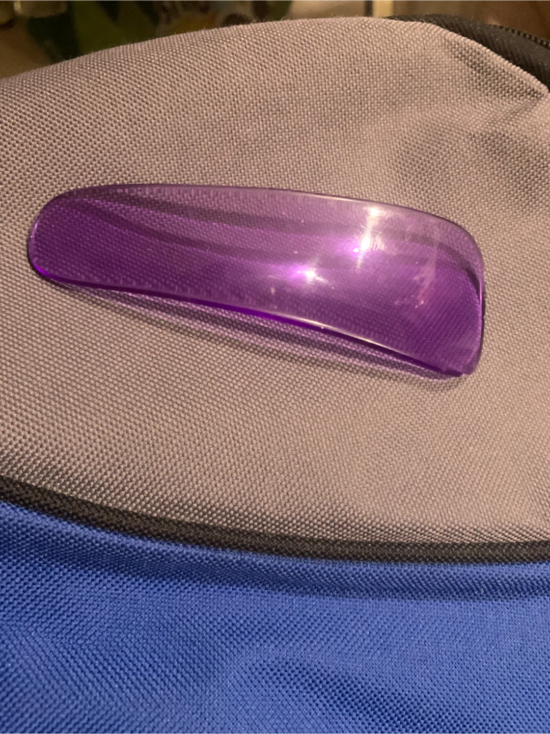 Purple Plastic Hair Clip
