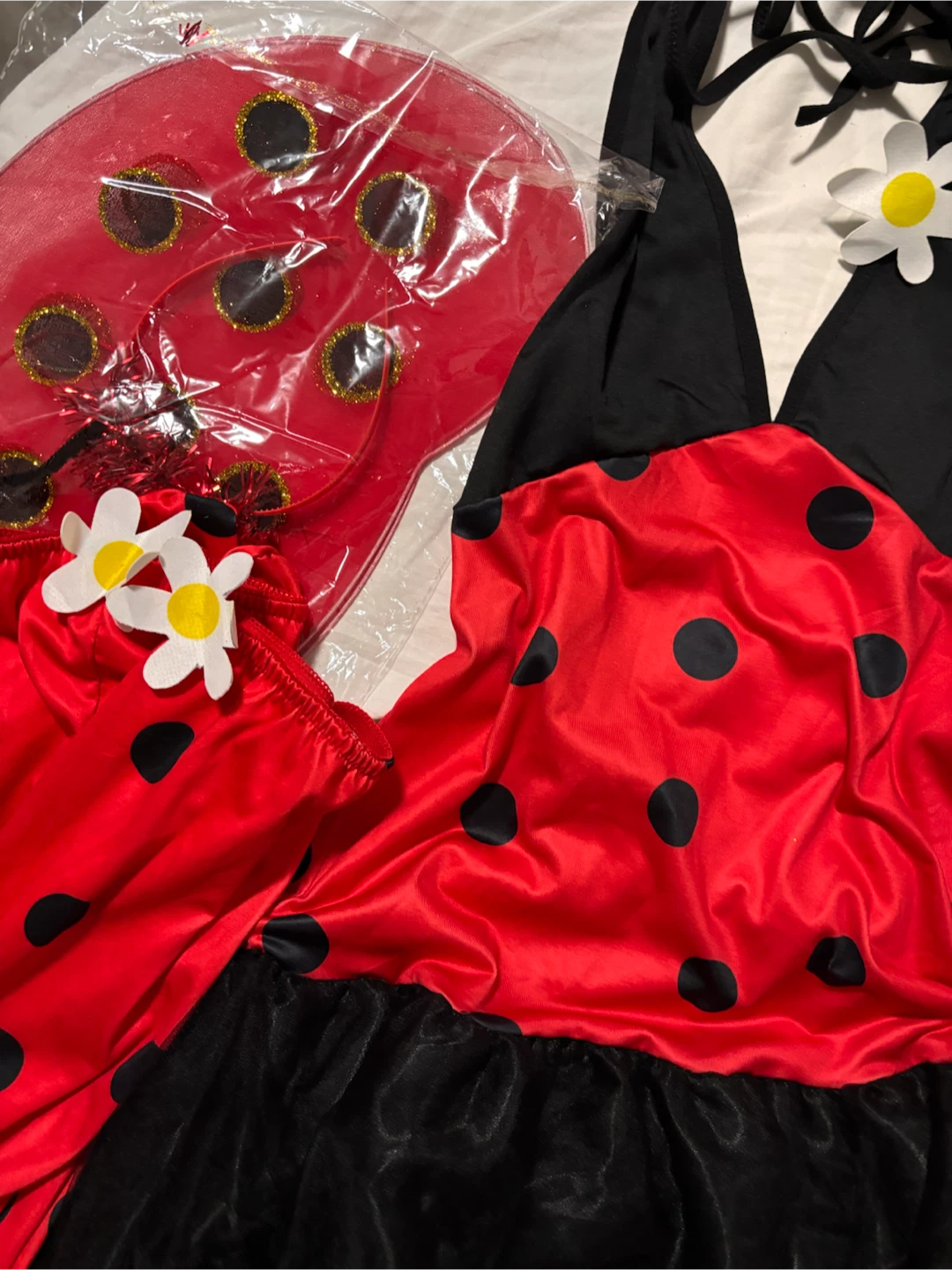 Ladybug Costume Set