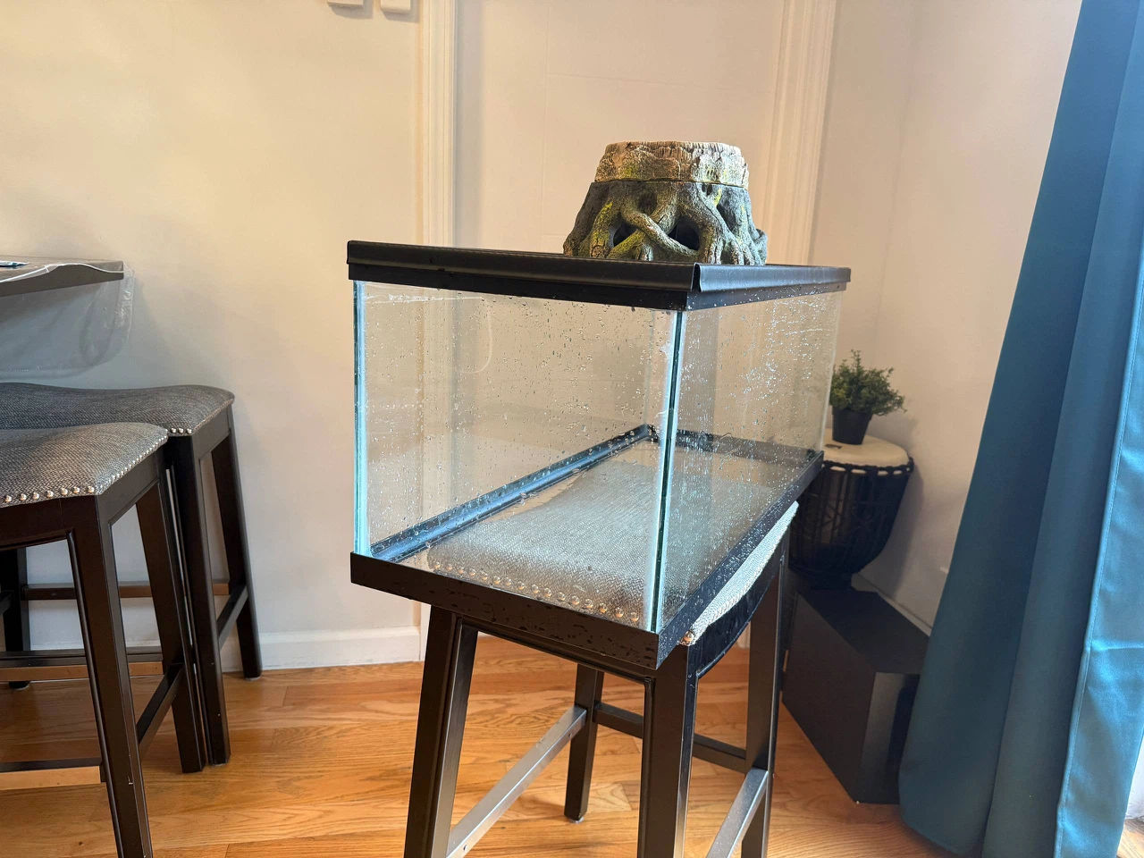 Glass Aquarium Tank 20 gal - photo 2