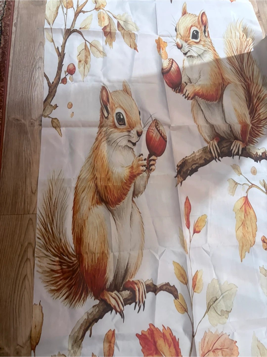 Squirrel Print Shower Stall Curtain