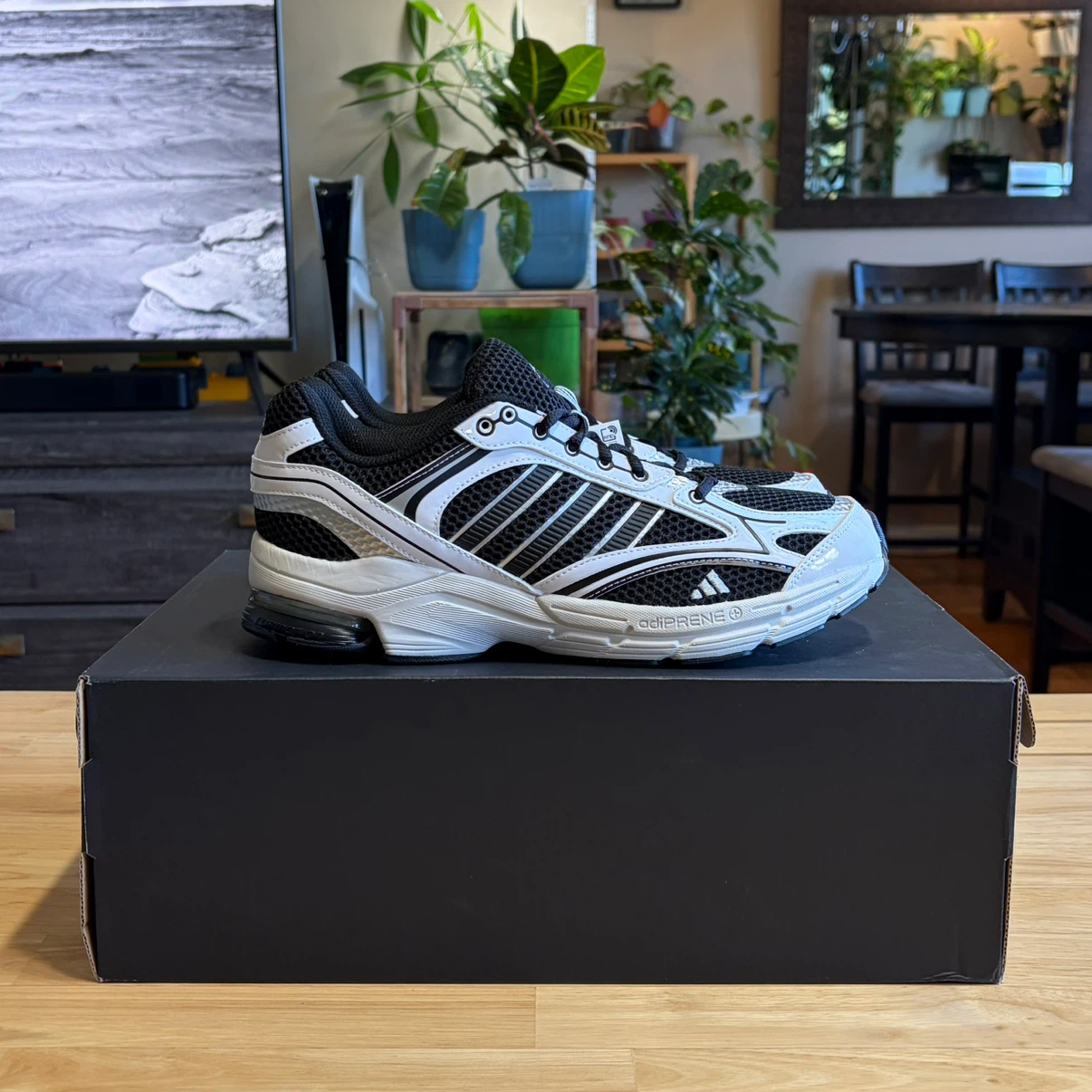 Adidas Spiritian 2000 Shoes