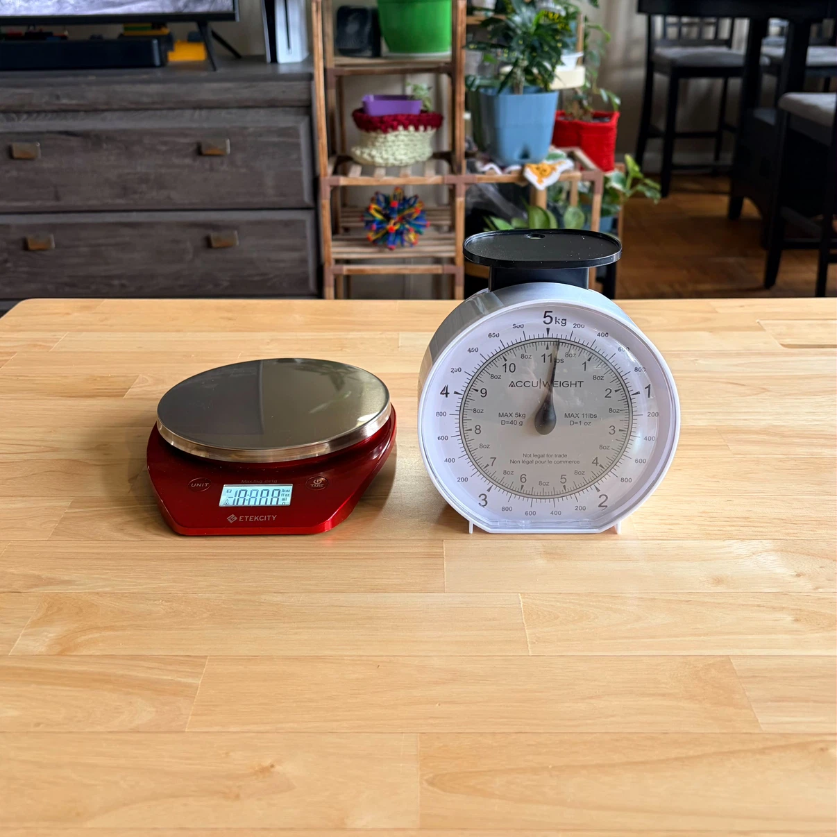 Mini Digital and Analog Scale