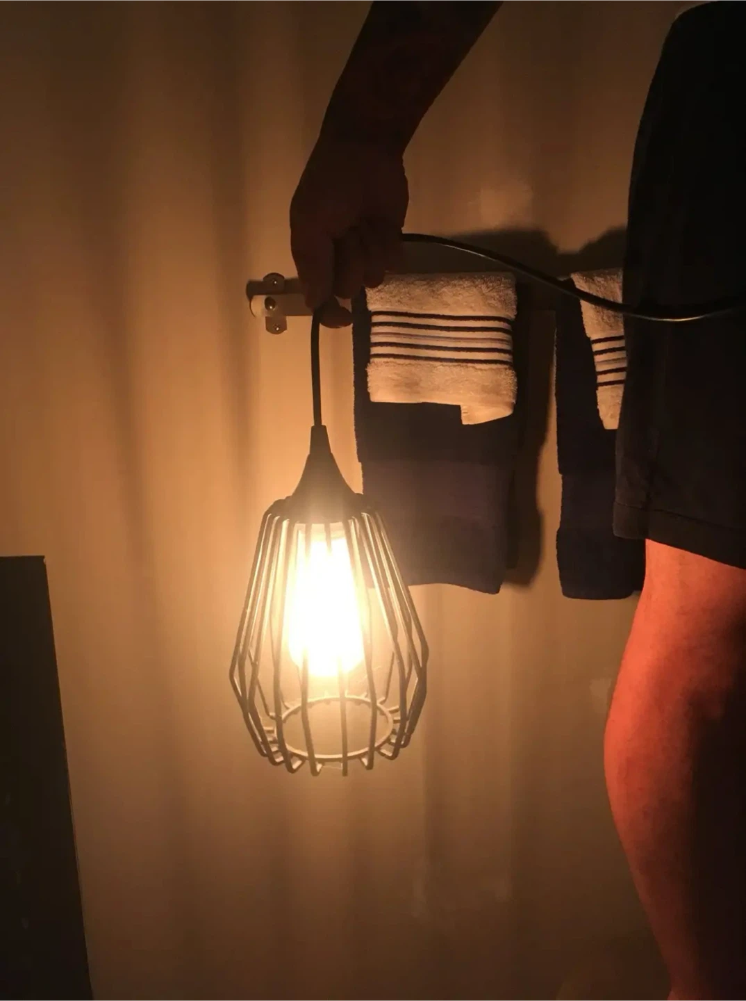 Set of 2 Industrial Cage Pendant Lights - photo 4