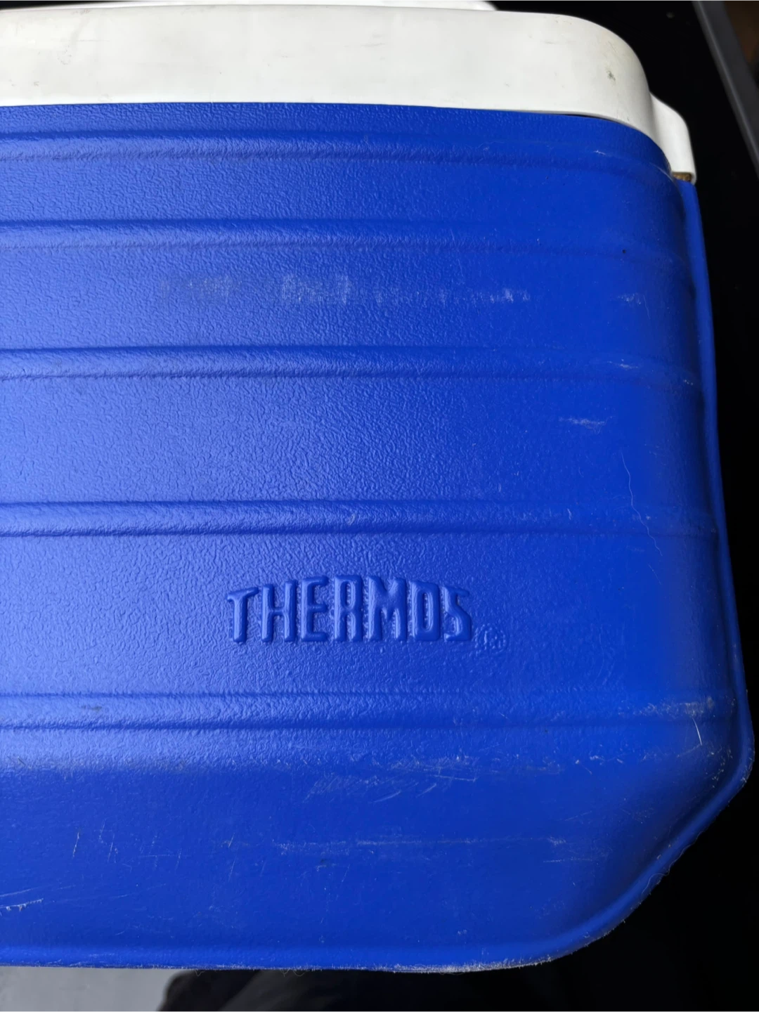 Thermos Blue and White Cooler - photo 5