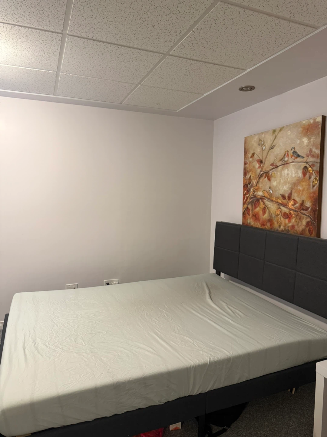 Queen Size Bed Frame and Mattress