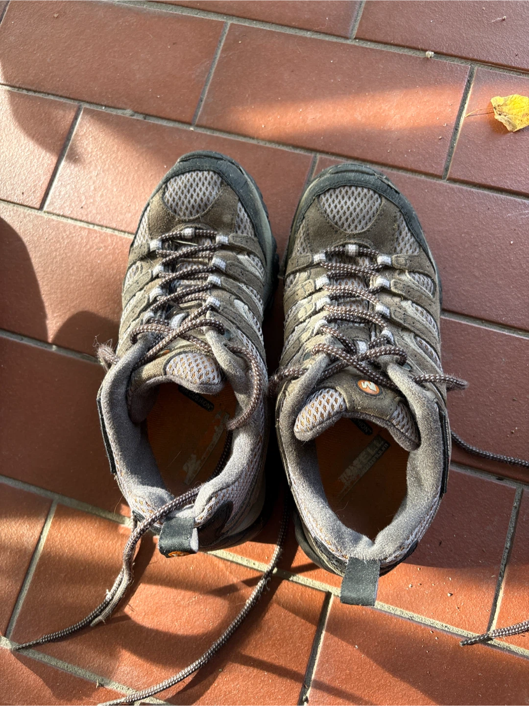 Merrell Hiking Shoes