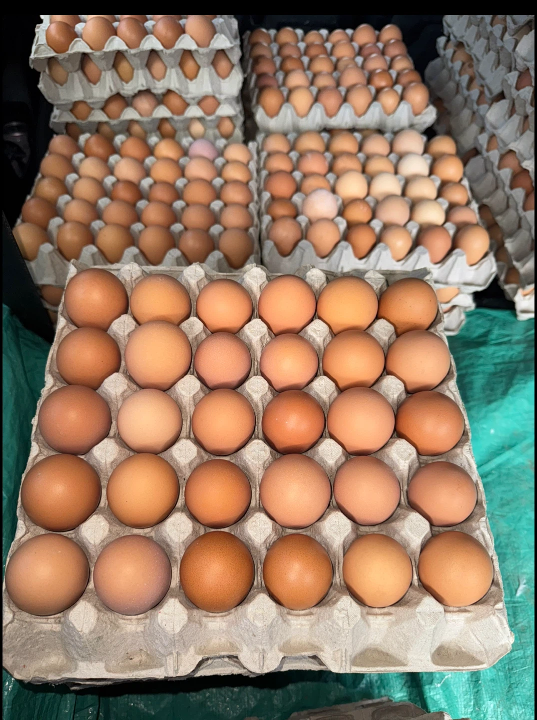 Fresh brown eggs - 30 count tray
