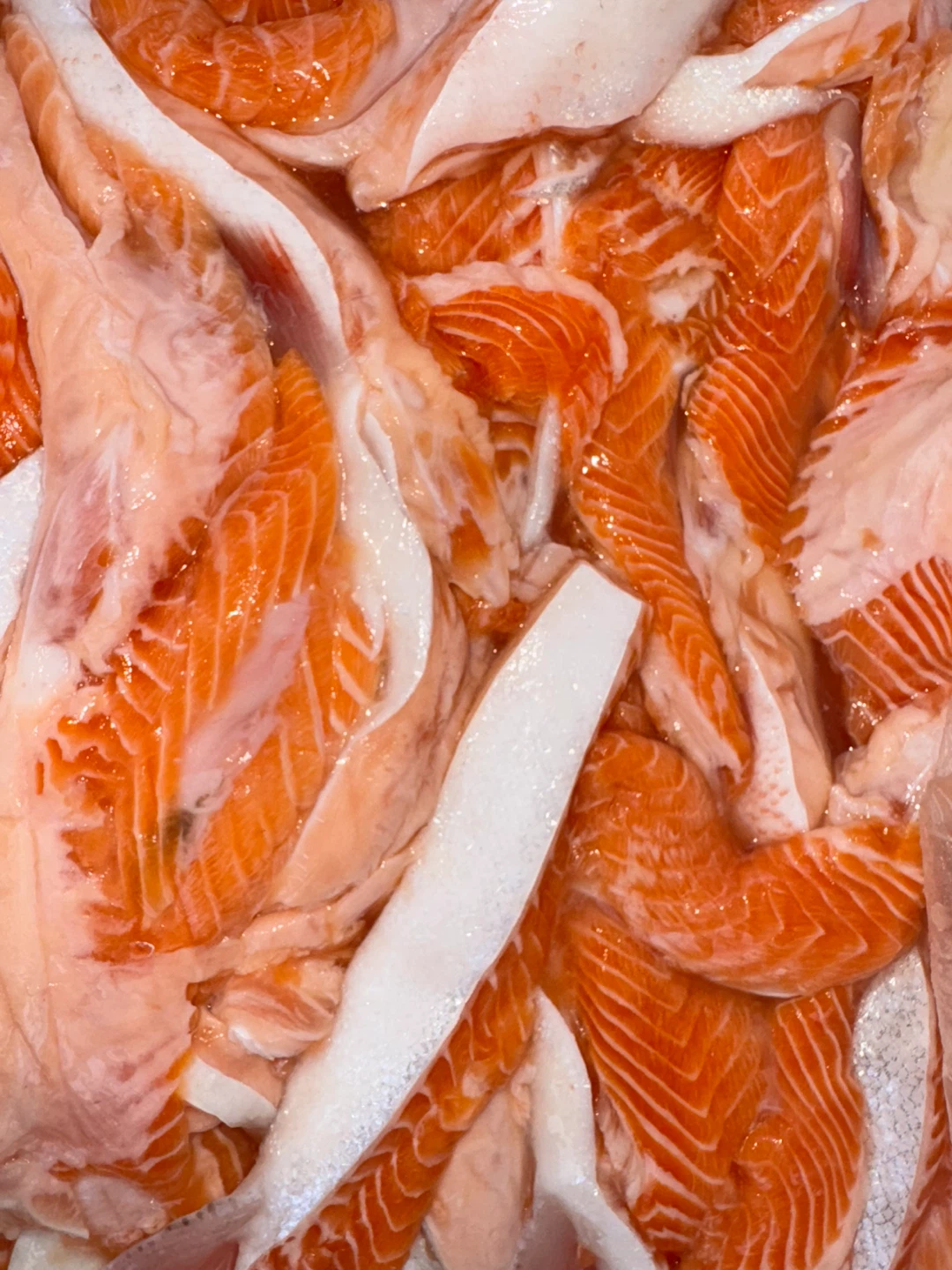 Fresh Atlantic Salmon Fillets