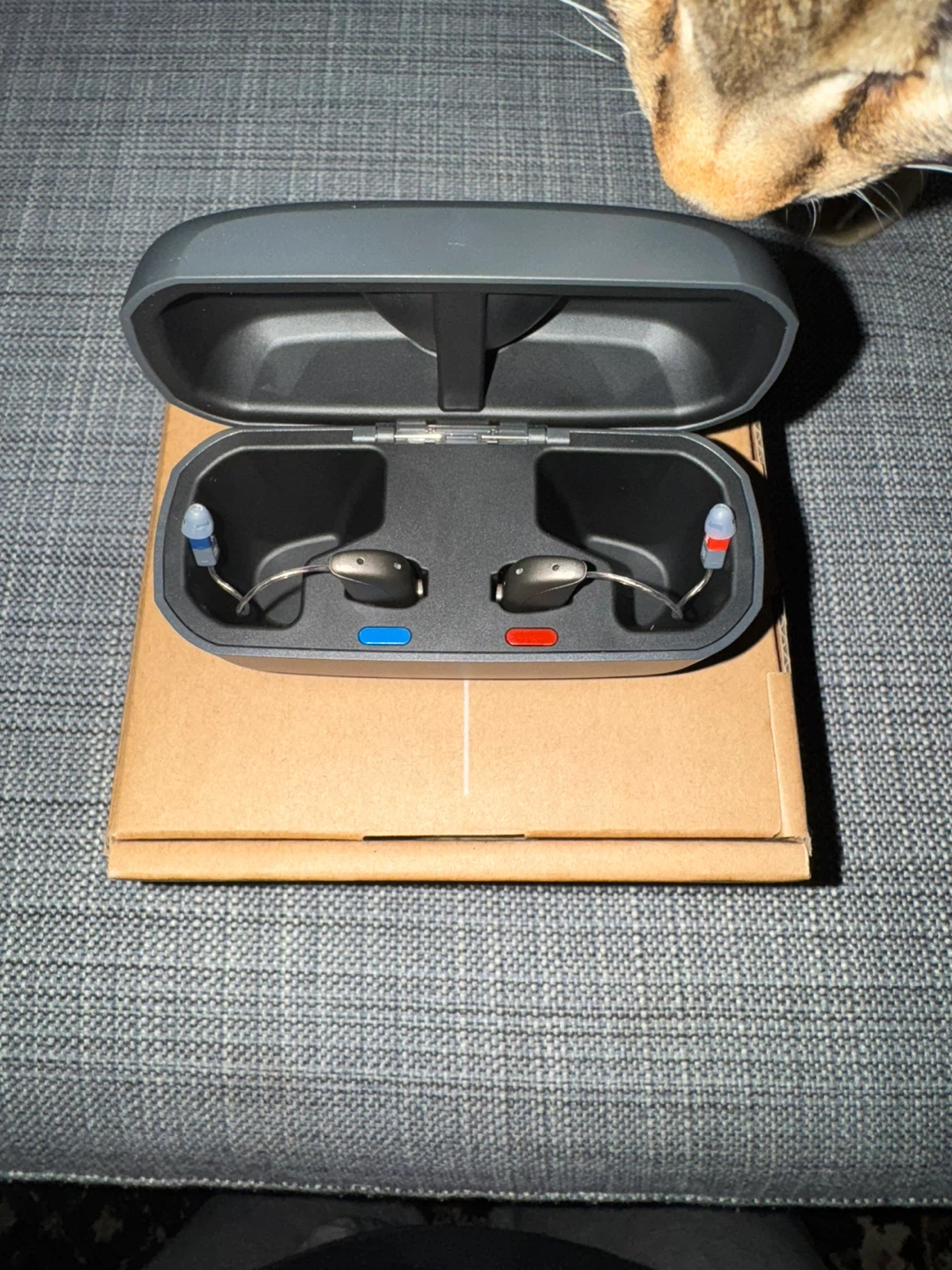 Bluetooth hearing aid