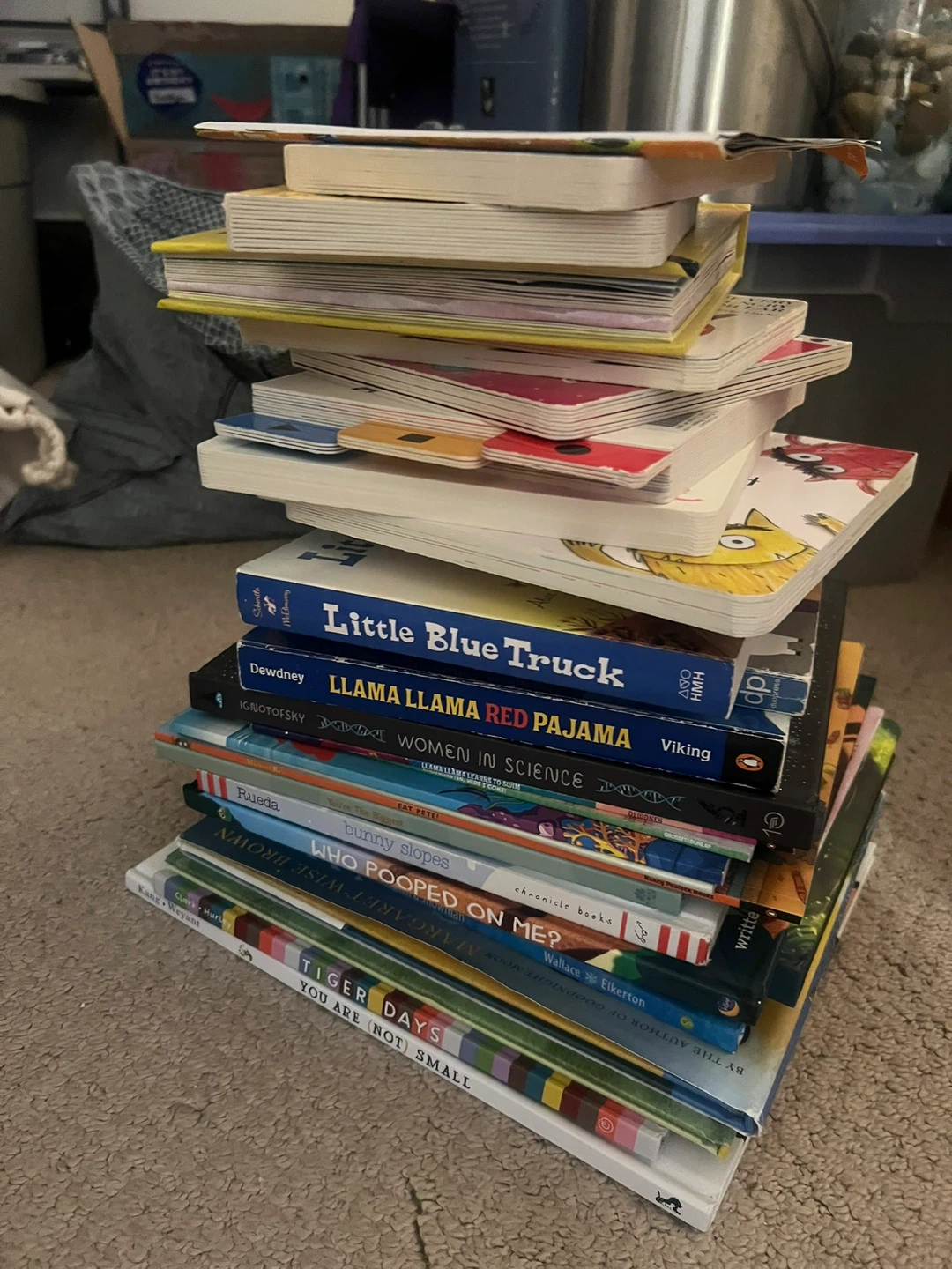 Assorted Children's Books and Plush Toys Bundle - photo 2
