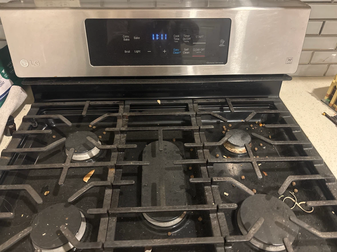 LG Stainless Steel Gas Range - photo 3