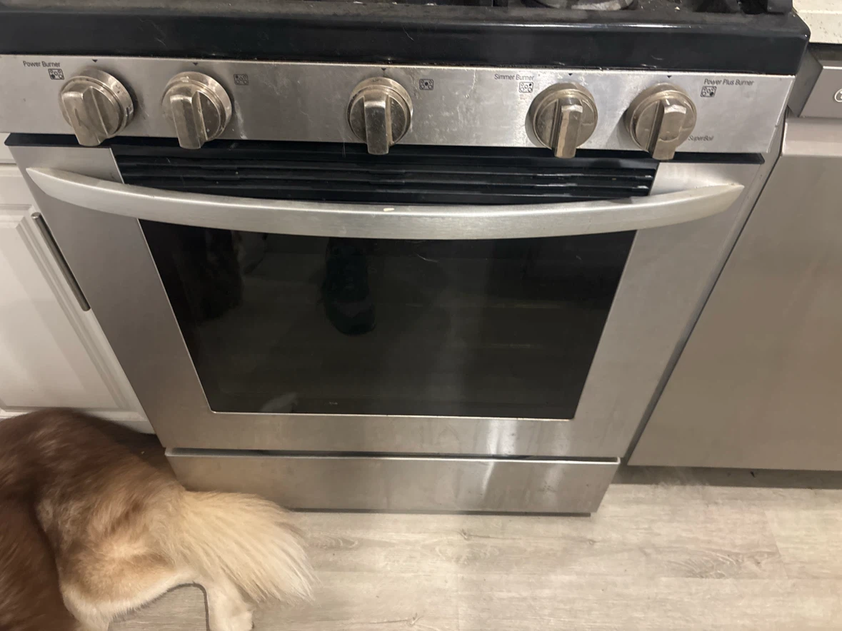 LG Stainless Steel Gas Range - photo 4