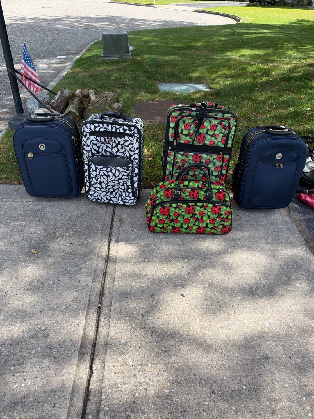 Luggage Set with Ladybug and Floral Patterns
