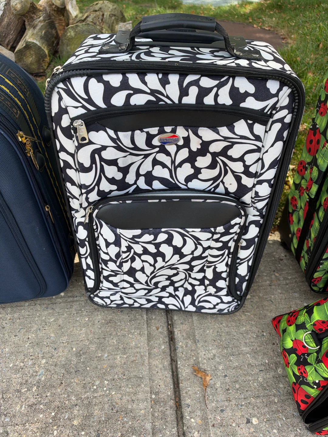 Luggage Set with Ladybug and Floral Patterns - photo 3