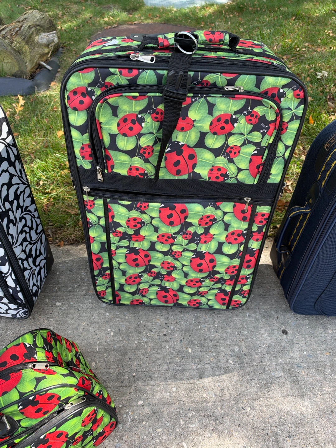 Luggage Set with Ladybug and Floral Patterns - photo 4