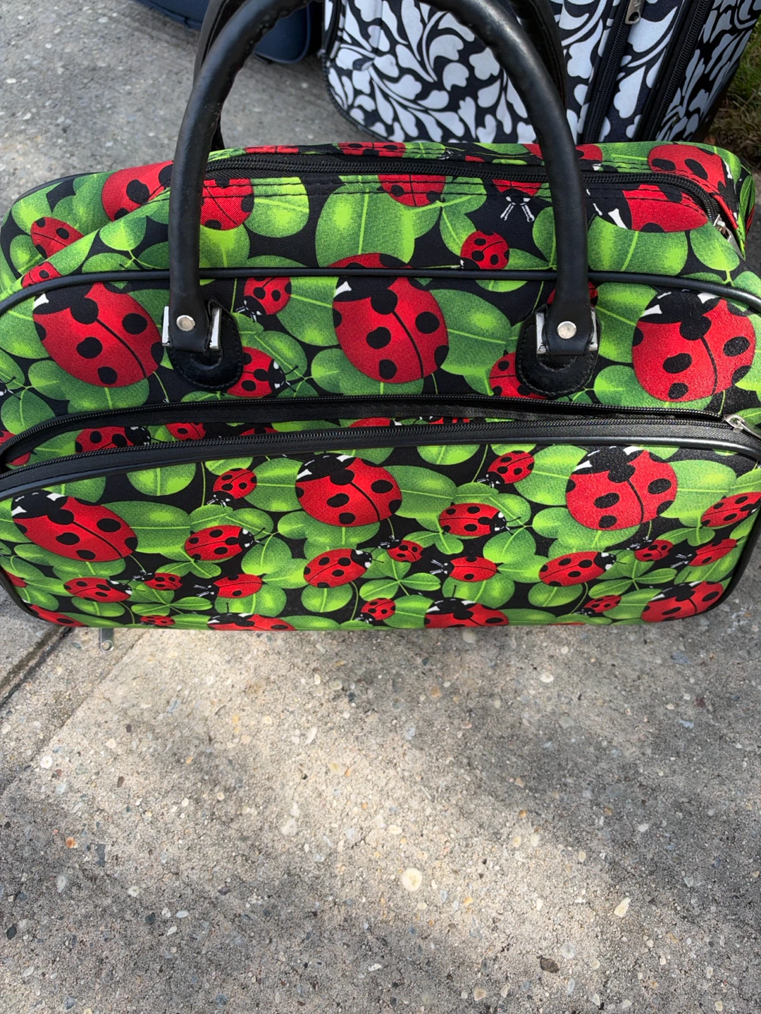 Luggage Set with Ladybug and Floral Patterns - photo 5