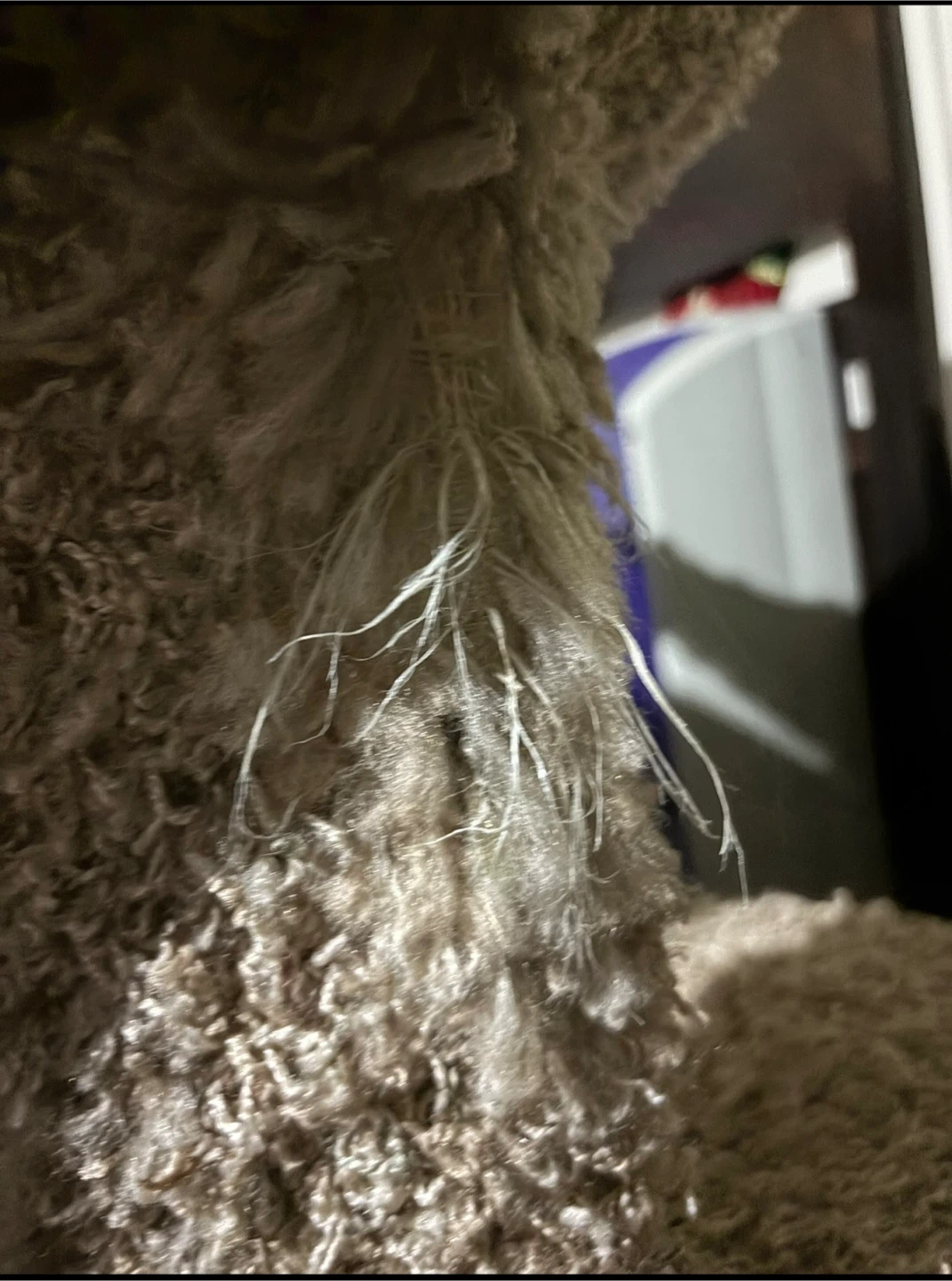Beige Carpeted Cat Tree - photo 5