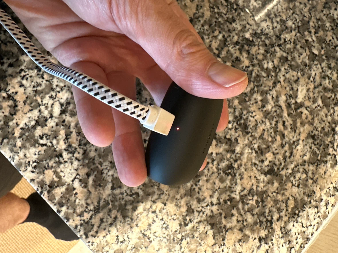 Jabra Elite Active 65t Charging Case - photo 3
