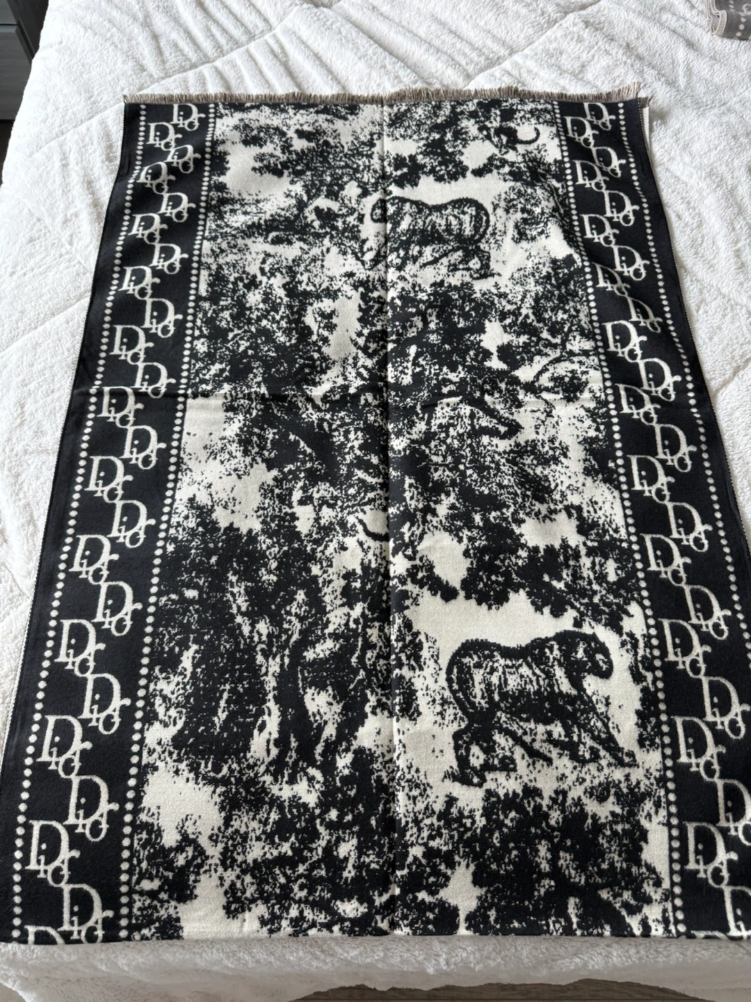 Christian Dior Toile de Jouy Scarf - photo 4