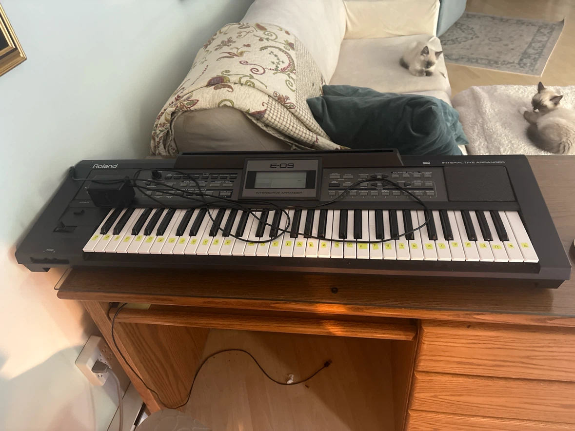 Roland E-09 Interactive Arranger Keyboard
