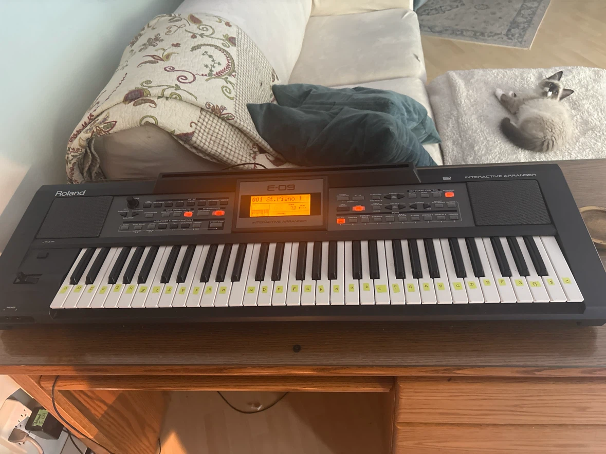 Roland E-09 Interactive Arranger Keyboard - photo 2