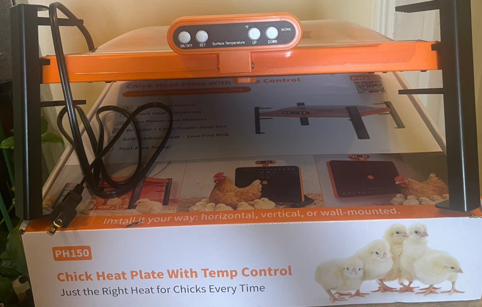 PH150 Chick Heat Plate with Temperature Control