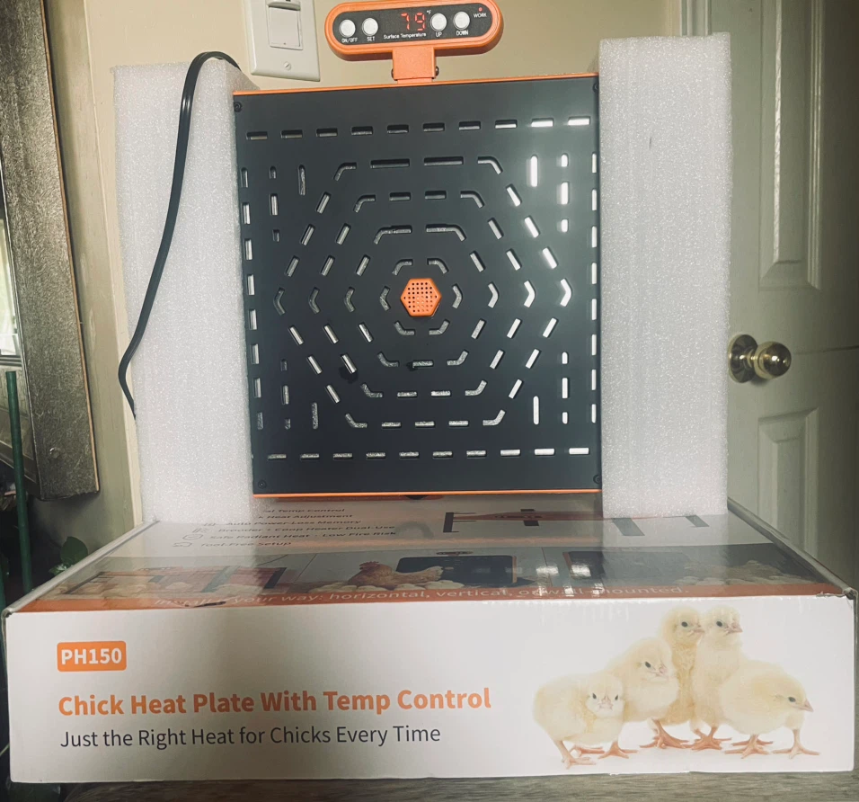 PH150 Chick Heat Plate with Temperature Control - photo 3