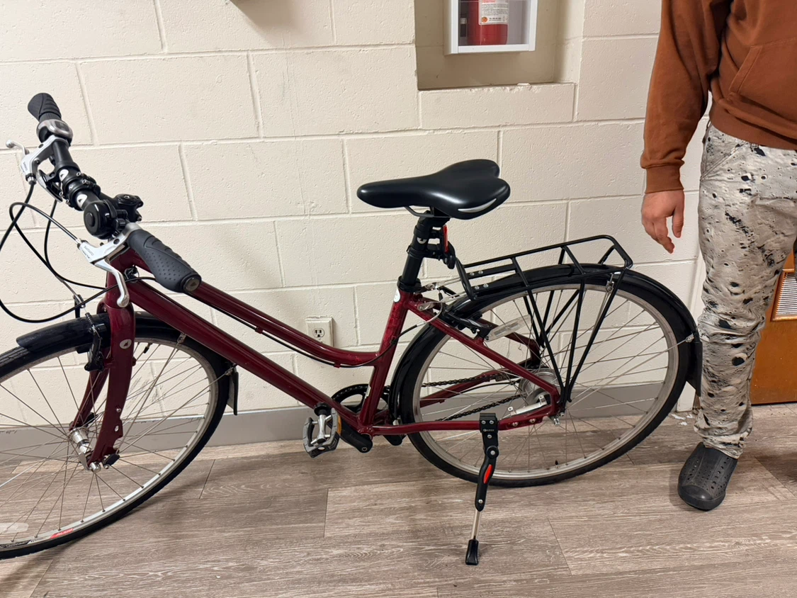 Maroon Bicycle 43cm