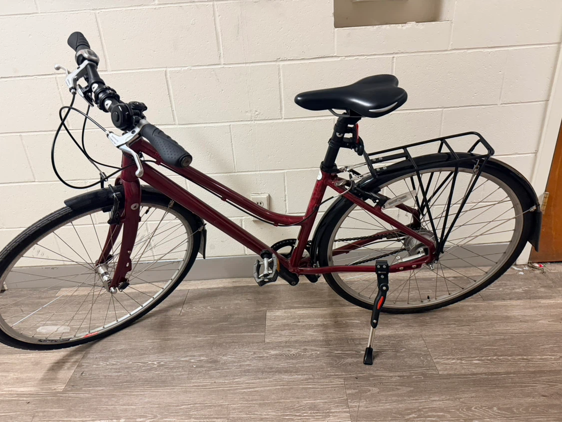 Maroon Bicycle 43cm - photo 3