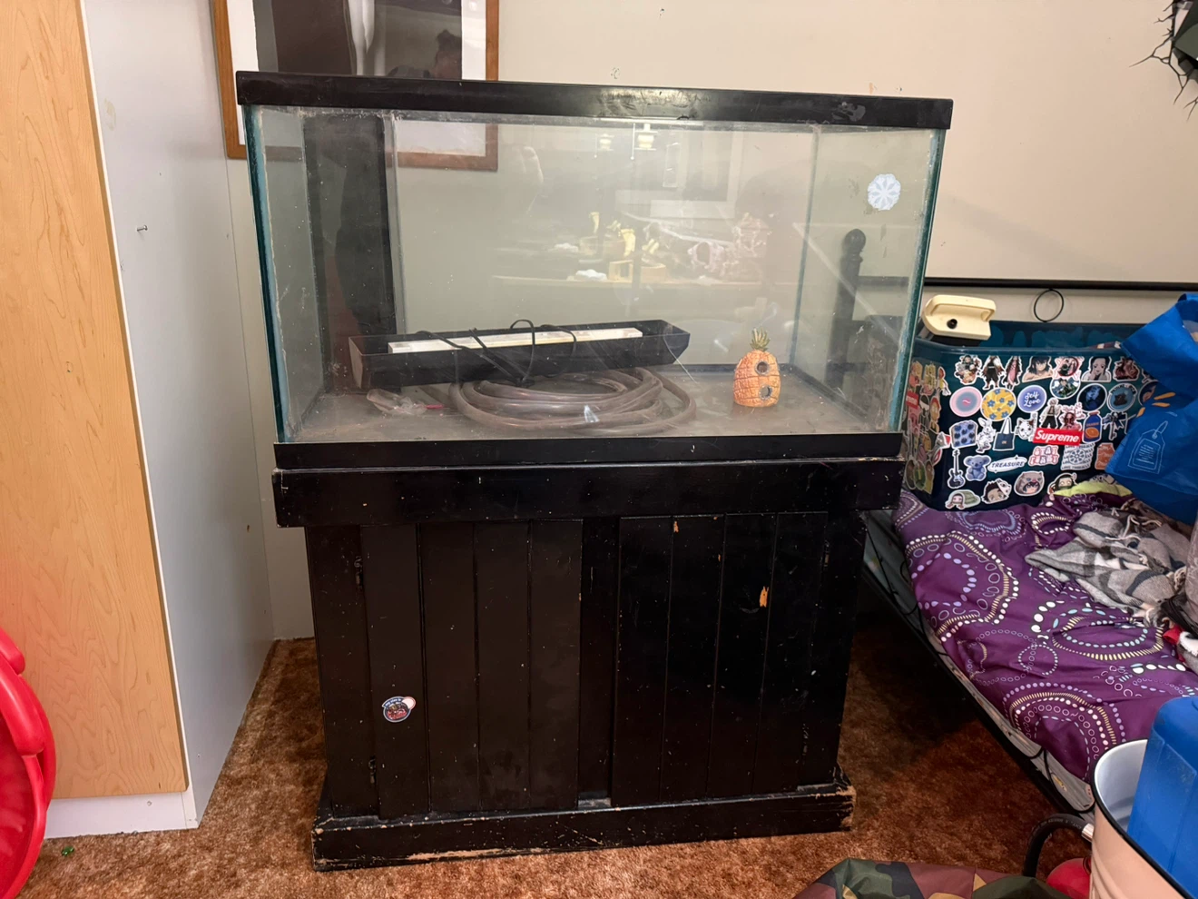 75 gallon Glass aquarium with stand