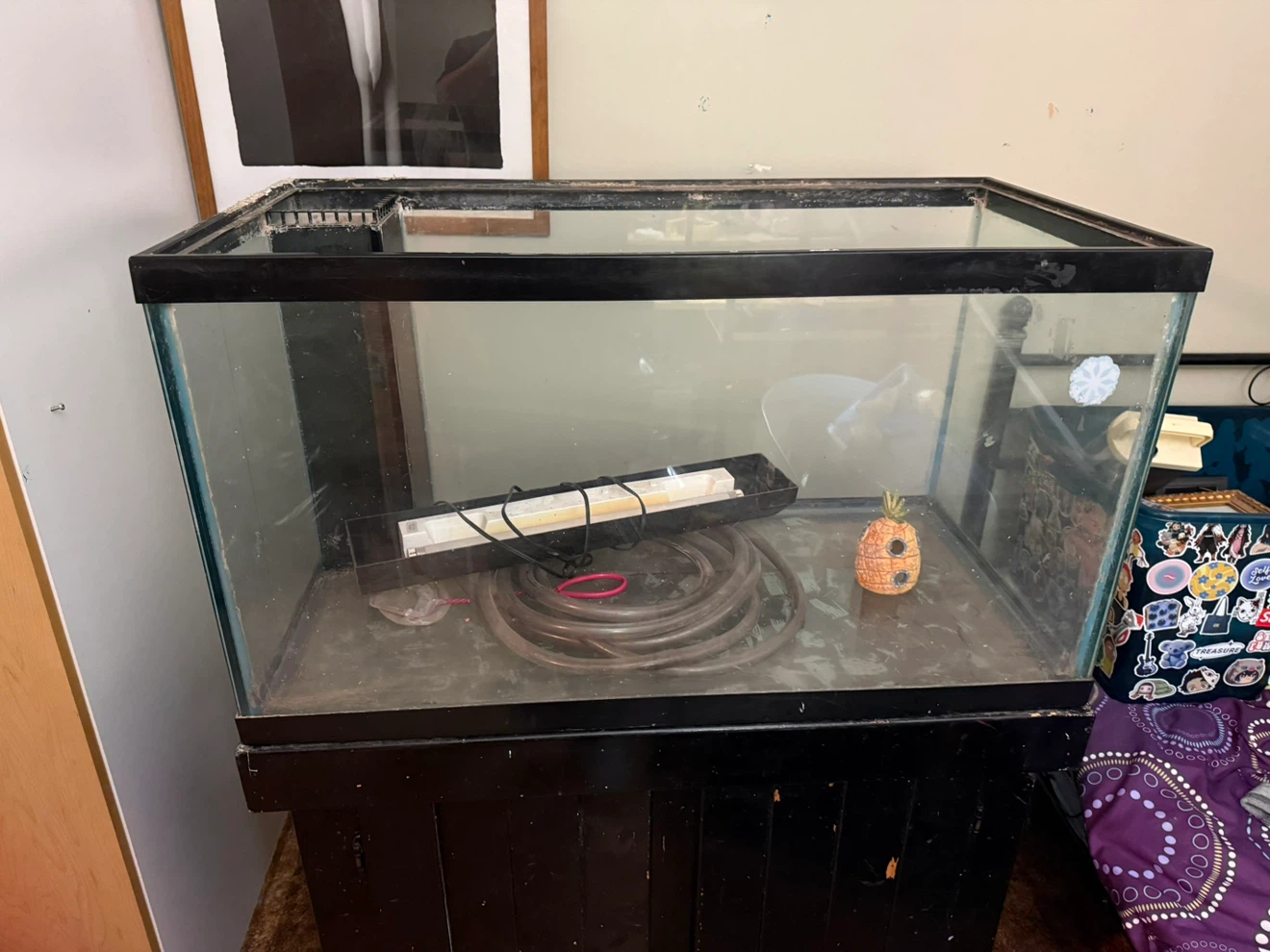 75 gallon Glass aquarium with stand - photo 2