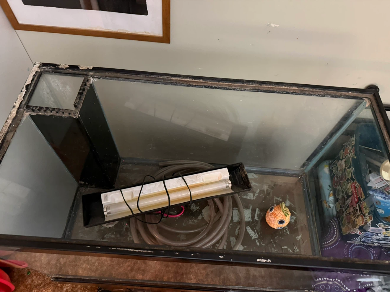 75 gallon Glass aquarium with stand - photo 3