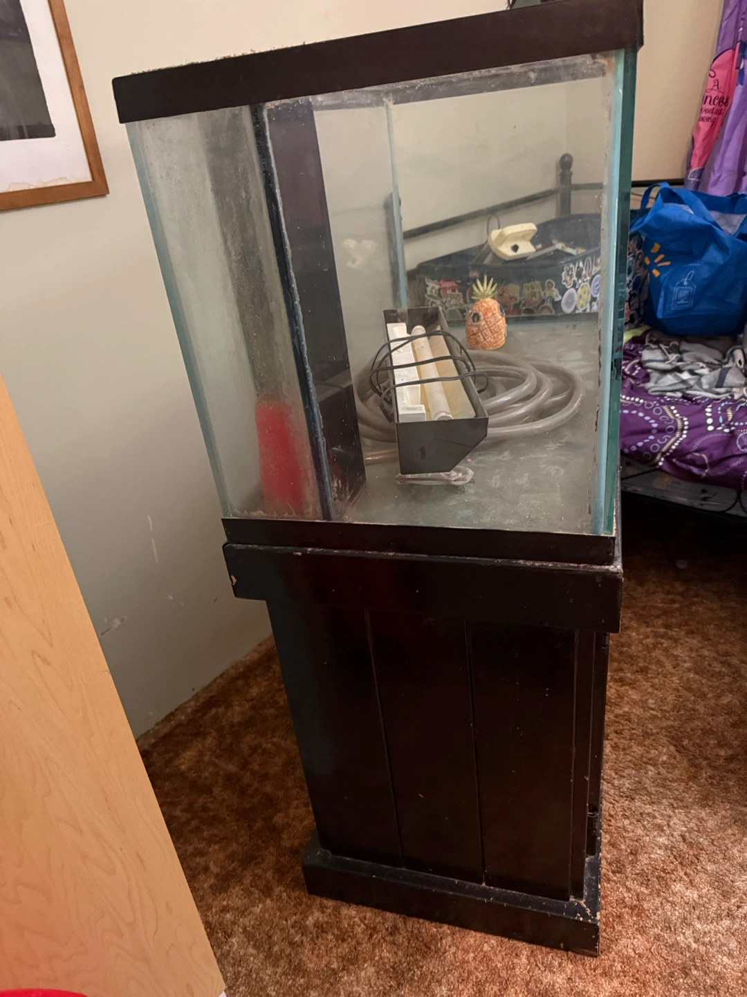 75 gallon Glass aquarium with stand - photo 4