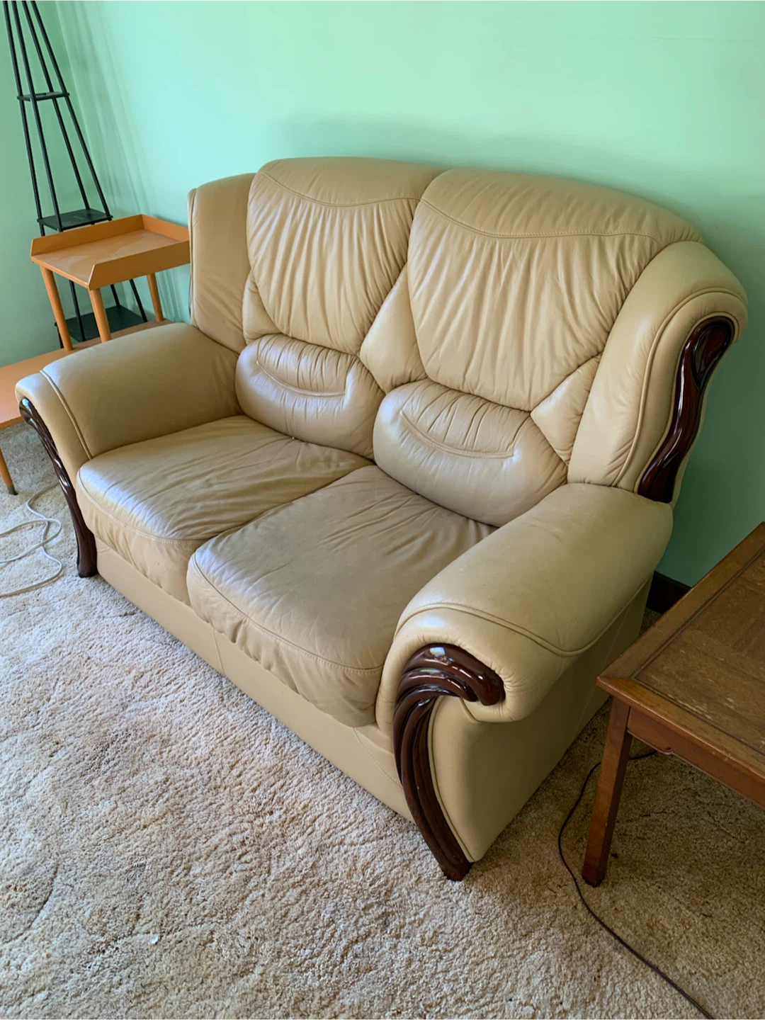 Beige Two-Seater Leather Loveseat - photo 2