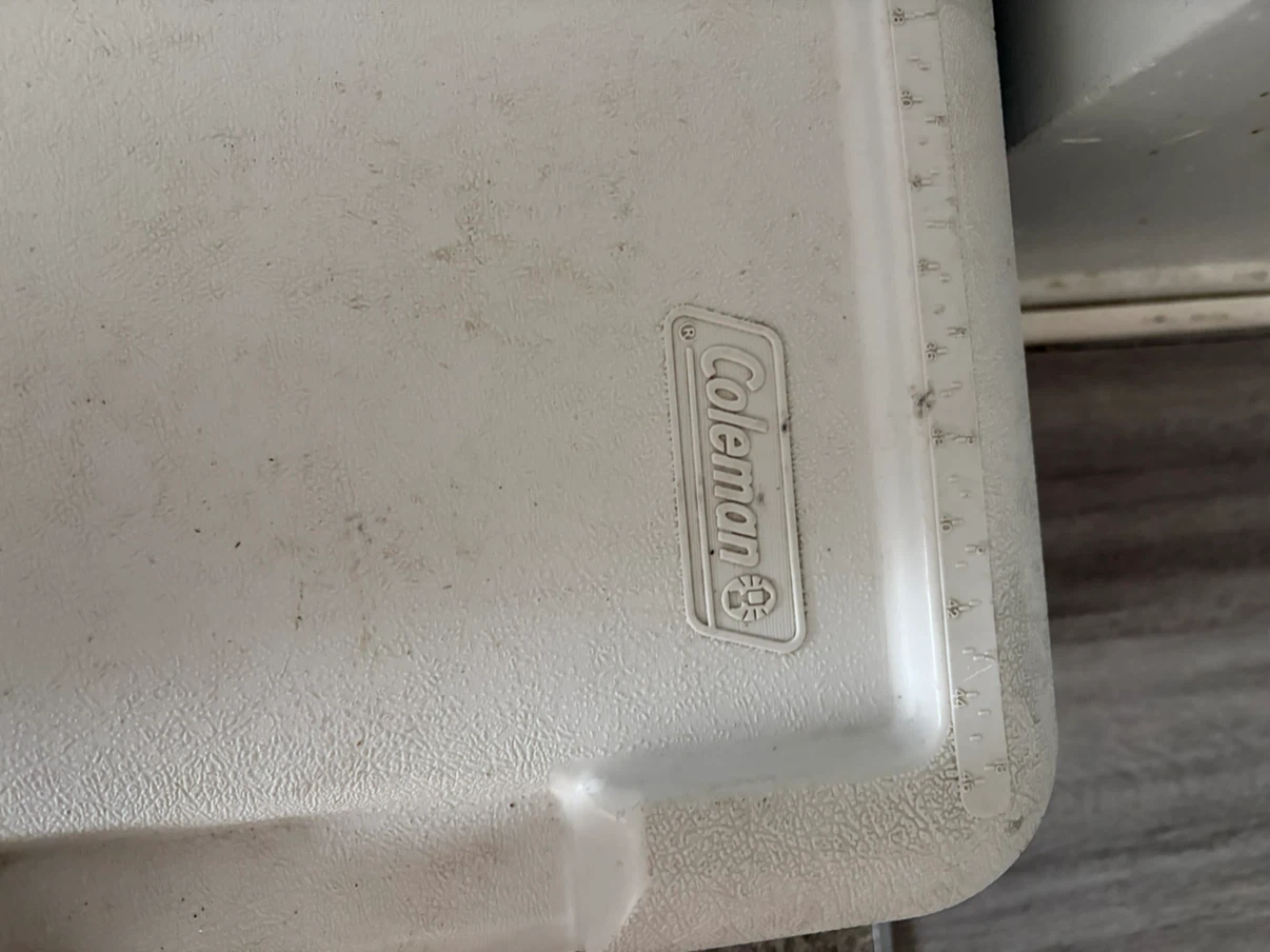 Coleman cooler * Need gone asap* - photo 2