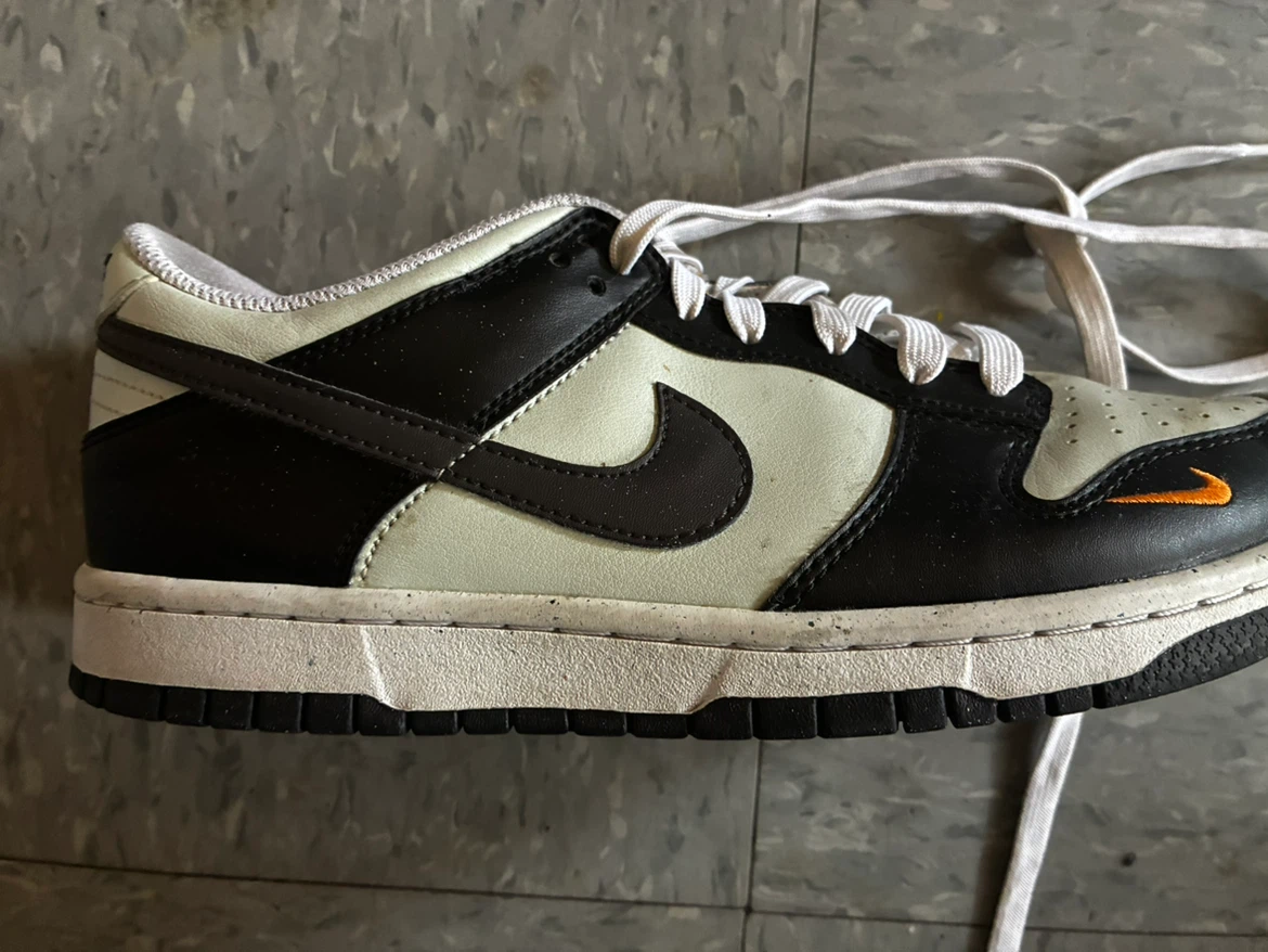 Nike Dunk Low Sneakers
