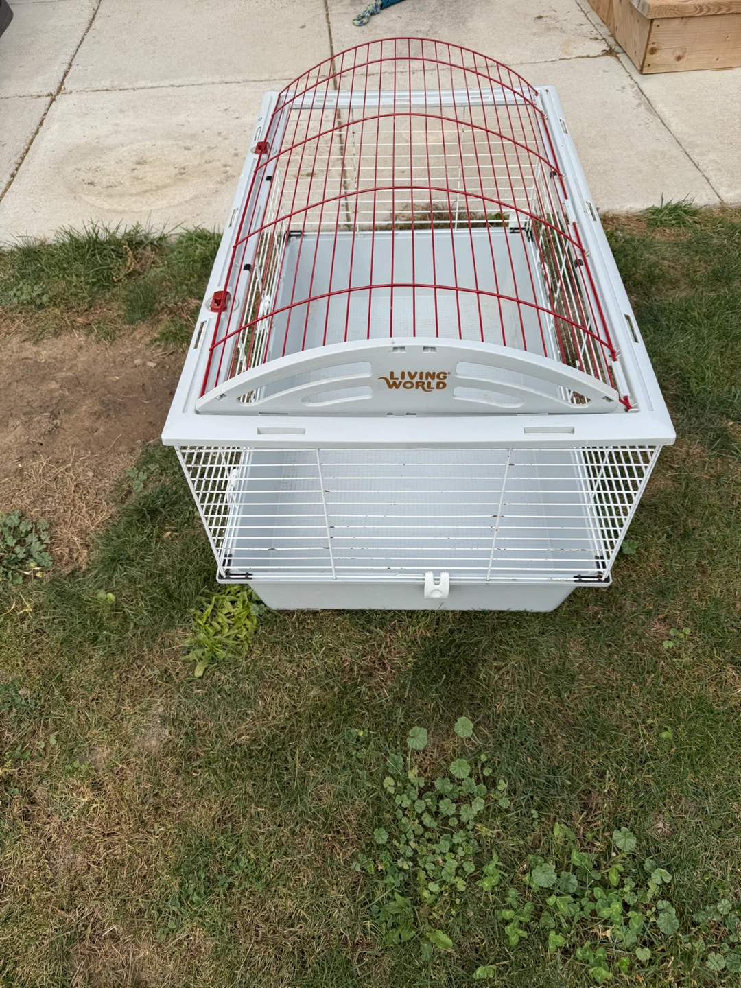 Small animal cage
