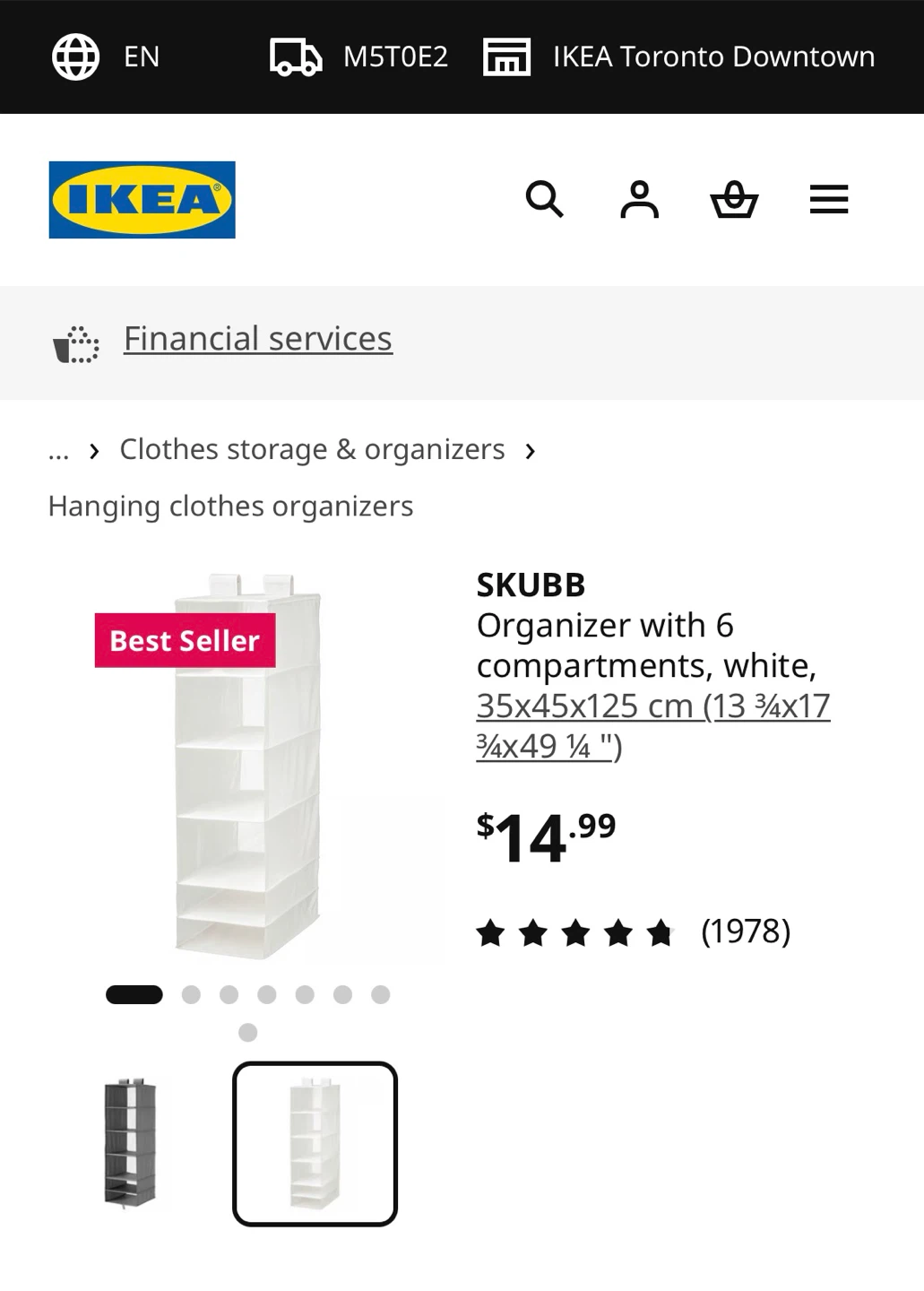 Hanging Organizer
