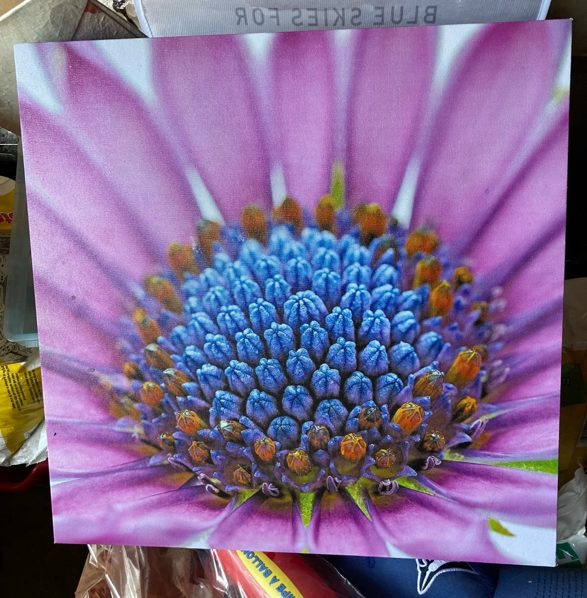 Floral Canvas Wall Art