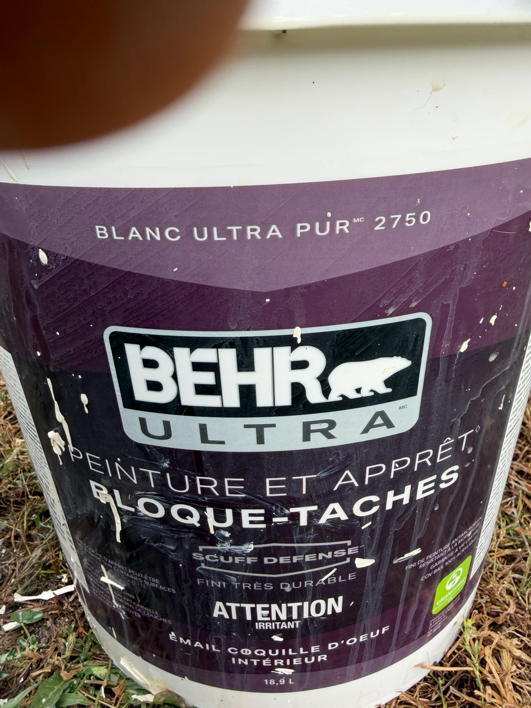 Full blank -Behr Ultra Paint and Primer Interior - photo 3
