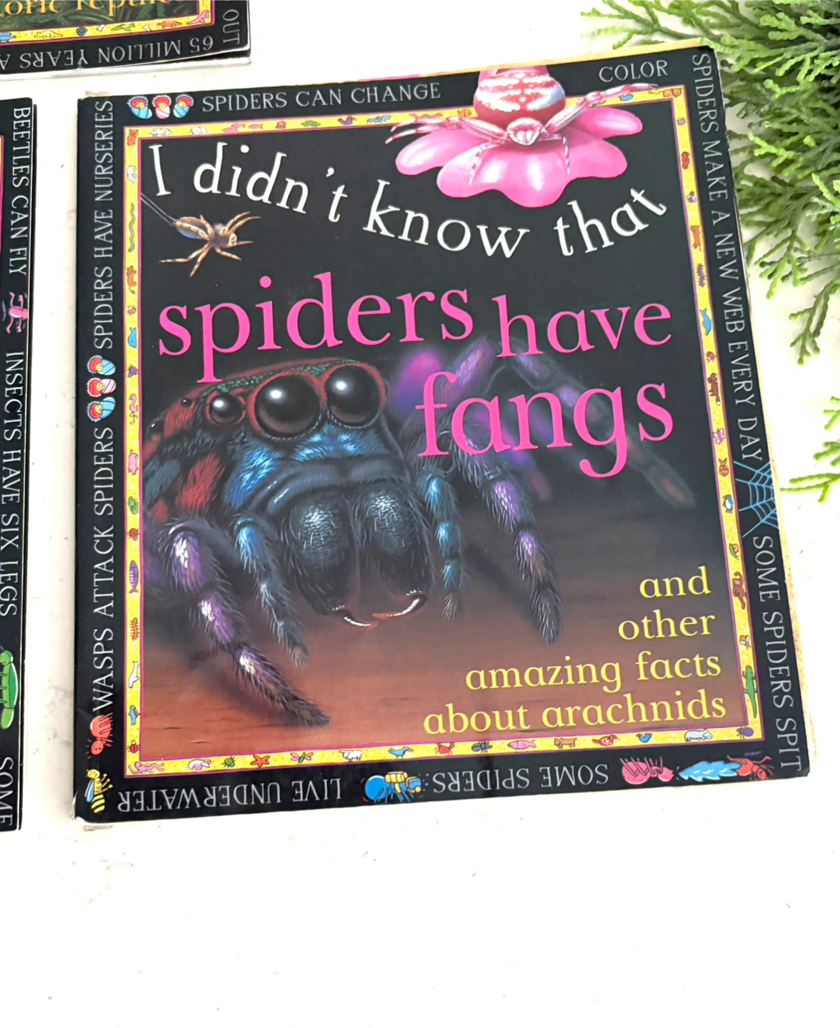 Set of 3 Children's Nature Fact Books - photo 4
