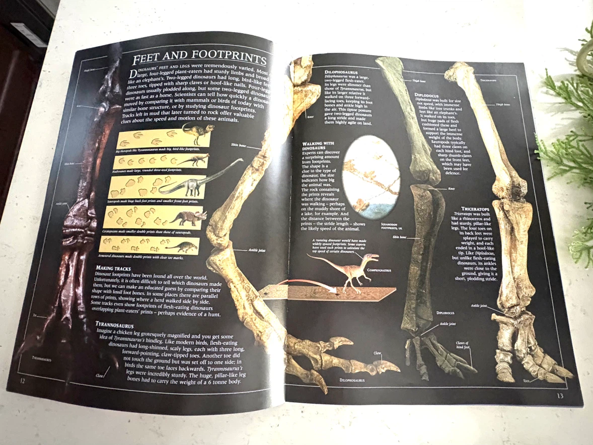 DK Guide to Dinosaurs by David Lambert - photo 2