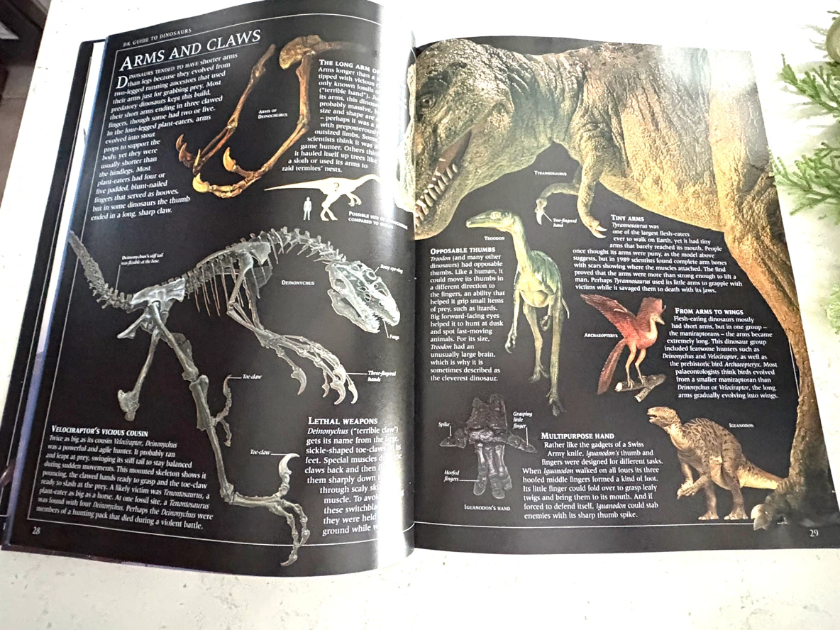 DK Guide to Dinosaurs by David Lambert - photo 3