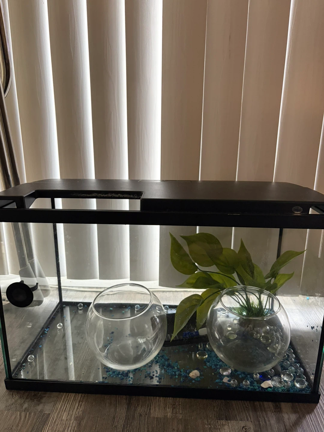 Glass Fish Tank with Accessories